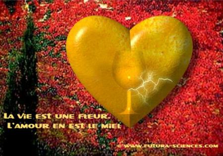 rien a dir